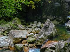 -大鄣山卧龙谷景区