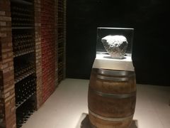 -丹世红酒庄·烧烤·团建·婚礼·水上运动