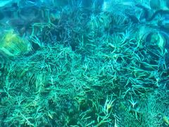 -平江沱龙峡漂流