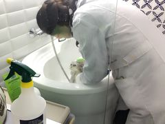 -荣耀金沙动物医院(清江西路店)