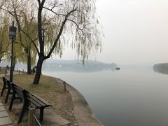 -西湖外事游船(花港观鱼码头)