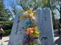 -淄博聊斋城景区