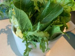 田园杂菜篮-百年果林椰子鸡(中洲店)
