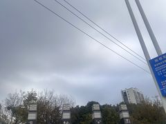 -圩墩遗址公园
