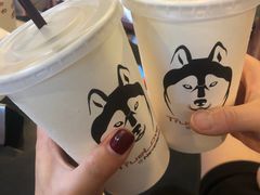 -TrueLove @ Neverland (Husky Cafe)