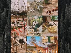 -大连森林动物园