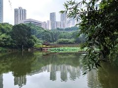 -龙头寺公园