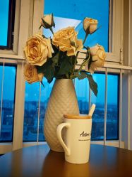 点击看大图 -演员的秘密·皮肤管理