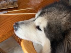 -孙氏梅花糕(马台街)