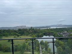 -张坝桂圆林公园