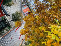 -北京凤凰岭