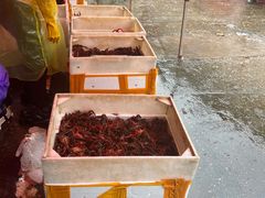 -马王堆海鲜水产市场