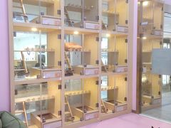 -爪爪喵星球·猫舍(前海卓越店)