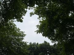 -西南政法大学(沙坪坝校区)
