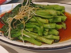 -海派美食·家宴海鲜青岛菜·石锅鲽鱼头(东方城店)