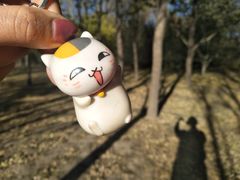 -森林公园(尖草坪区)