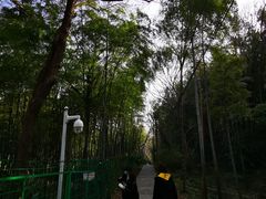 -上海月湖雕塑公园