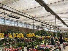 -三圣花乡旅游区