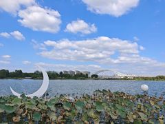 -澹台湖公园