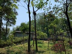 -中国大熊猫保护研究中心雅安碧峰峡基地