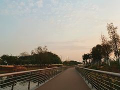 -滨海公园