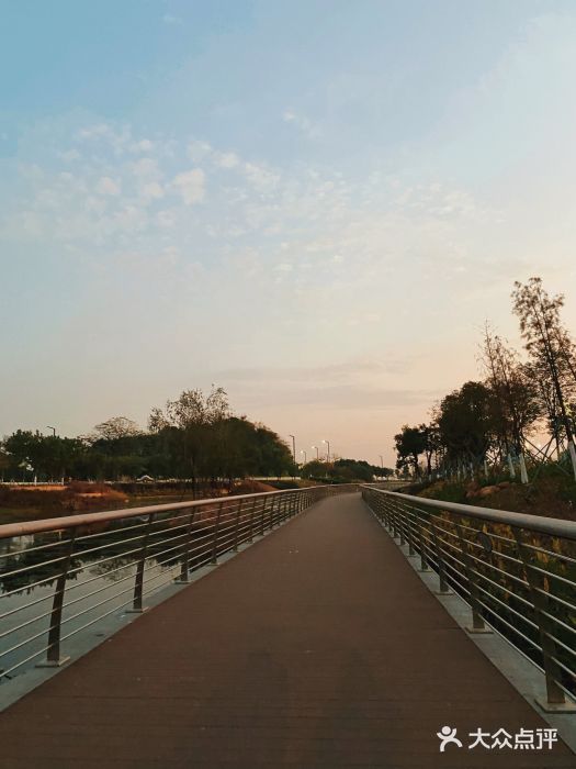 滨海公园图片