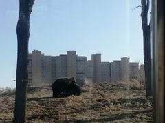 -太原动物园