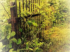 -维乐口腔医院(福清院)