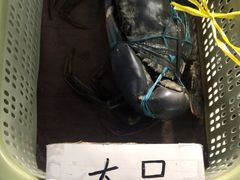 -龙海鲜螃蟹王(宏茂桥店)