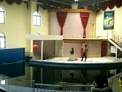 -运城海洋馆