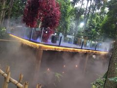 -二荆条·蜀鲜汇城市森林火锅