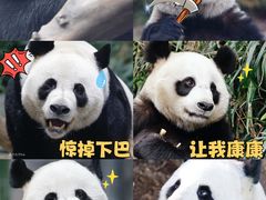 -天津市动物园
