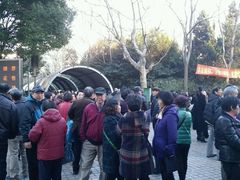 -人民公园-相亲角