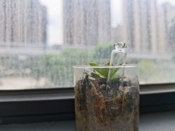 点击看大图 -尚艺造型.剪烫染.接发
