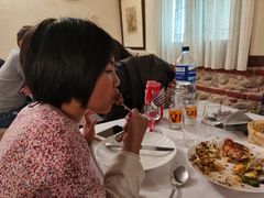 -塞哥维亚输水道