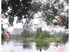 -洋湖国家湿地公园