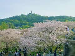 -苏州上方山国家森林公园