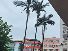 -耳艺采耳·足疗(东圃店)
