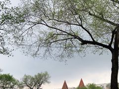 -哈尔滨文化公园