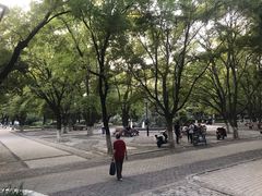 -山东大学(趵突泉校区)