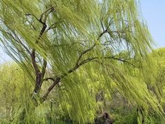 -山东大学学府大酒店(千佛山地铁站店)