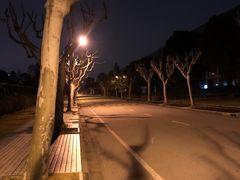 -同济大学(嘉定校区)