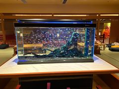 -大江户·温泉洗浴(浑南店)