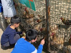 -前小桔亲子创意农场·草莓采摘·露营烧烤