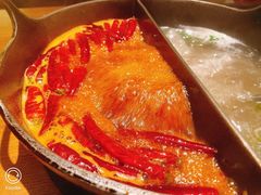 -盡膳口福跷脚牛肉火锅(合生汇购物中心店)