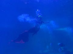 -水上乐园·欢乐世界