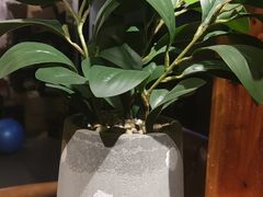 -梵猫·新养生(福州万象城店)