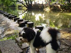 -西溪南古村落