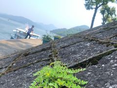 -千岛湖东南湖区