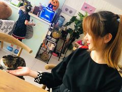 -平行世界·猫咖(首经贸店)